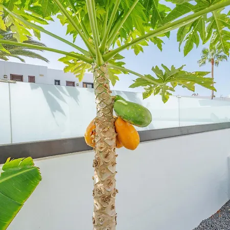 Villa Casa Marlena - Private Terrace- 4 Min To The By Lanzarote